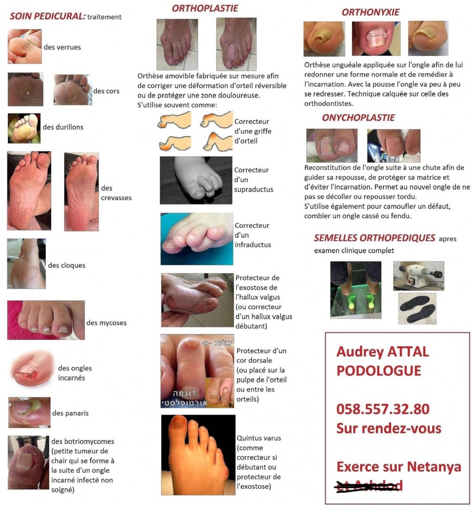 523A515D-68B6-4513-A232-FB340F4239F5